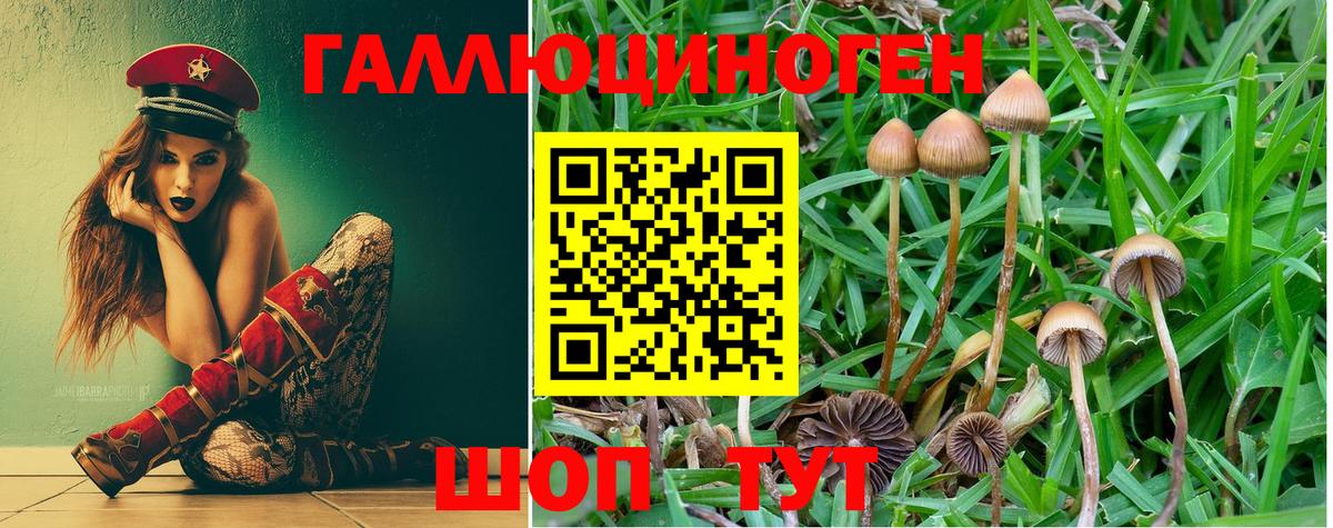 Галлюциногенные грибы ЛСД Вышний Волочёк